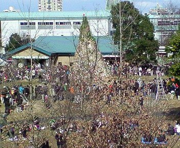 c0014187_2231538.jpg