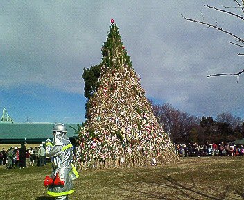 2011年八王子小山内裏公園の「どんど焼き」炎すごっ！_c0014187_22324996.jpg