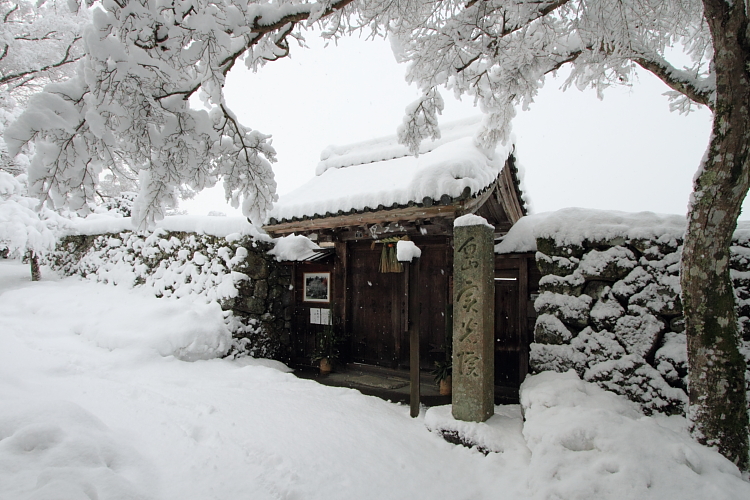 雪の実光院_e0051888_2147685.jpg