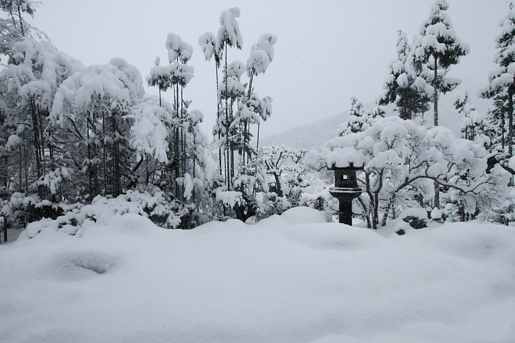 雪の実光院_e0051888_21481868.jpg