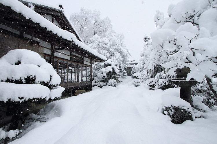 雪の実光院_e0051888_21484870.jpg