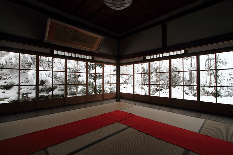 雪の実光院_e0051888_2151525.jpg