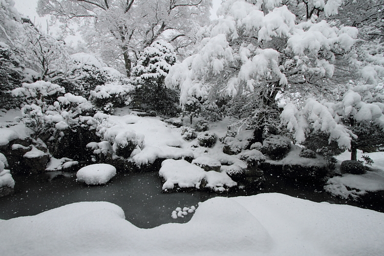 雪の実光院_e0051888_21531994.jpg