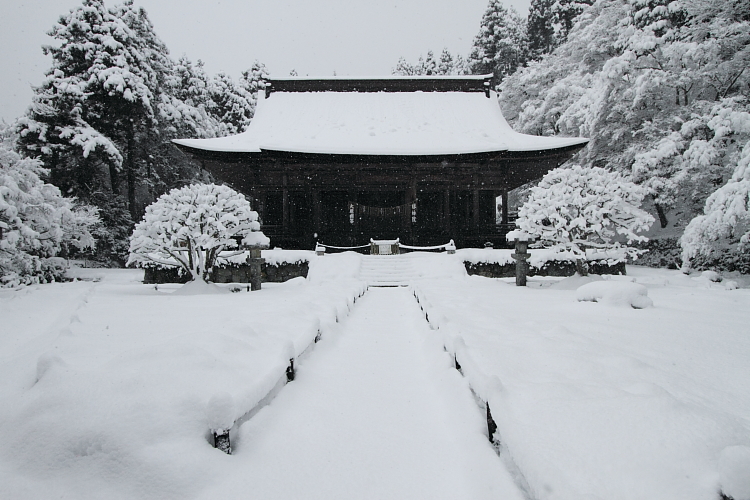 雪の実光院_e0051888_21575825.jpg