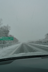 雪の日_b0142989_1929516.jpg