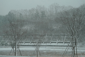 雪の日_b0142989_19321525.jpg