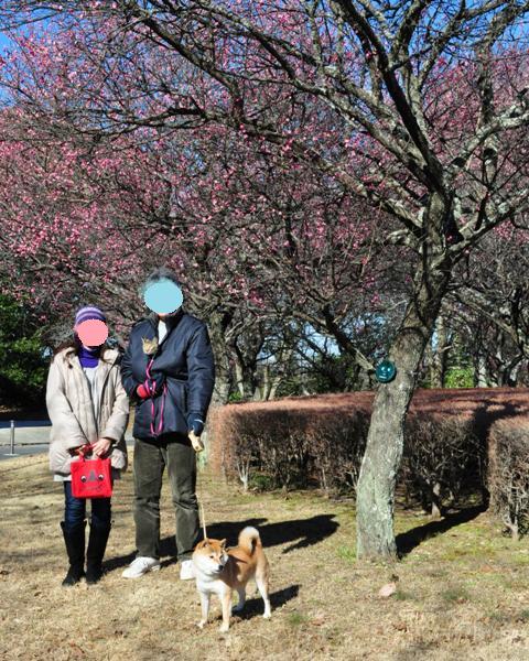 ぬくぬく温か、幸せ散歩!!_a0126590_95346.jpg
