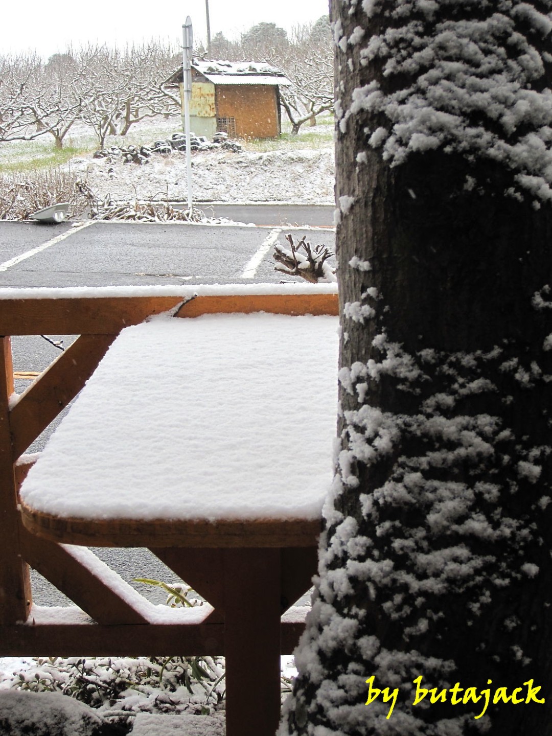 この地方…久し振りの雪景色_e0143590_19161169.jpg