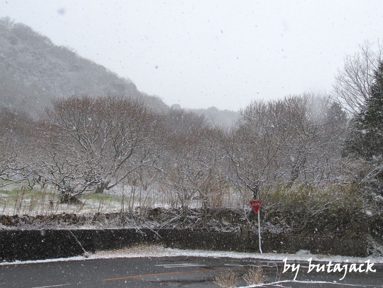 この地方…久し振りの雪景色_e0143590_19172126.jpg