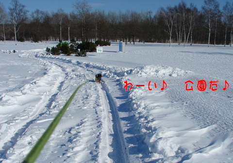 f0195891_16291270.jpg