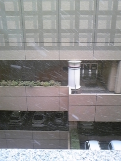 f0017897_13585787.jpg