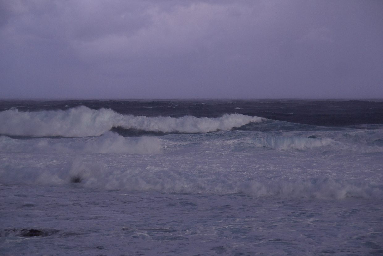 b0174905_8482251.jpg
