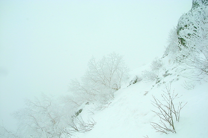 a0148606_23437.jpg
