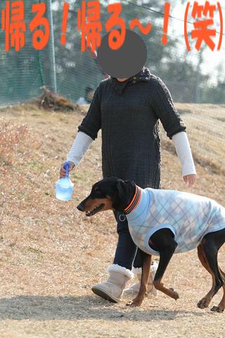 e0100007_2140172.jpg
