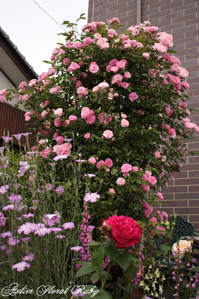 d0001008_2114424.jpg