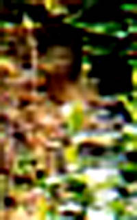 e0103408_1601814.jpg