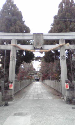 c0180209_17224088.jpg