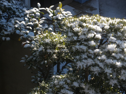 d0034609_11307.jpg