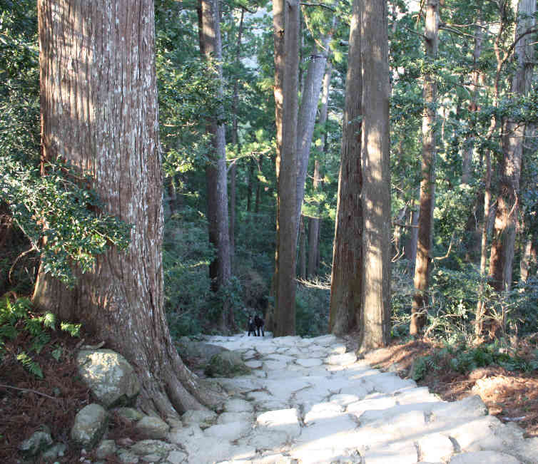 熊野三山初詣の旅　その3_d0154609_10482153.jpg