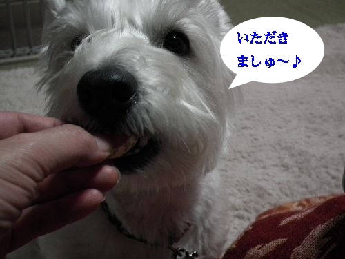 コタツとみかん♪_a0161111_14253477.jpg