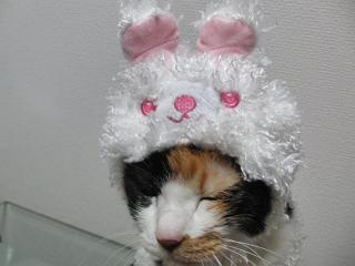 c0201113_19408.jpg