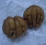 e0201021_179660.jpg