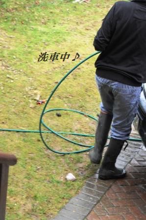 ささみときゅうりとわかめのすり玉胡麻和え_d0104926_1314352.jpg