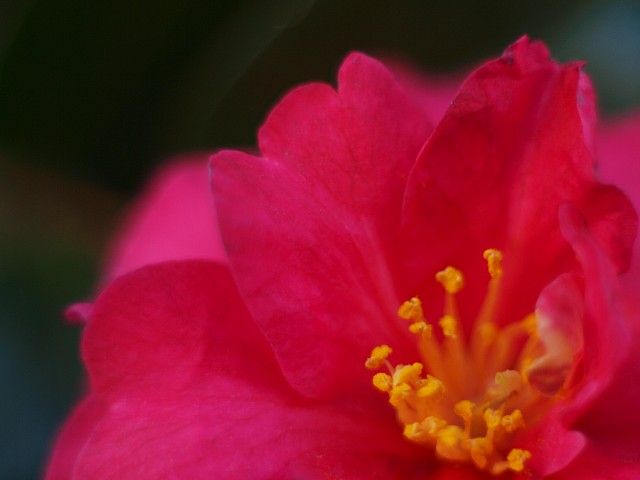 c0109827_14353723.jpg