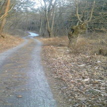 f0161535_21331218.jpg