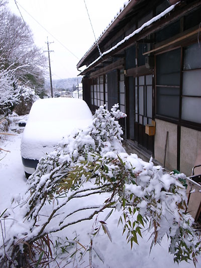 積雪７センチ_b0036636_7505440.jpg