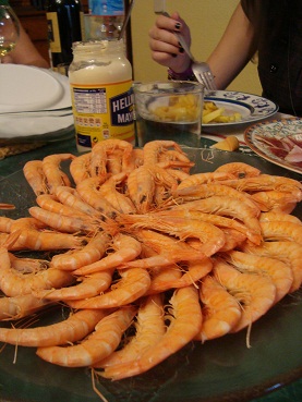 e0120938_3471418.jpg