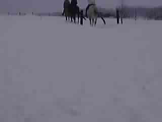 まだ吹雪は続くの?_e0145441_20285625.jpg