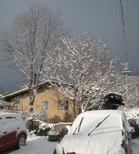 YUKI_c0089242_1032552.jpg