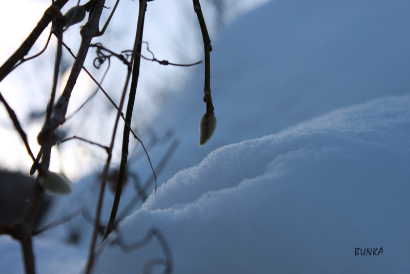 Cold　Mountain　　　～石割岳～_e0206944_2255471.jpg