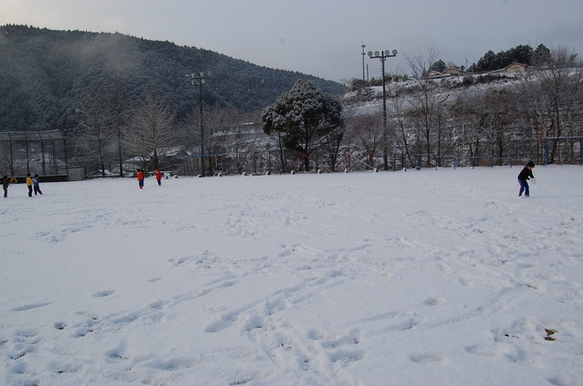 a0015353_2264522.jpg