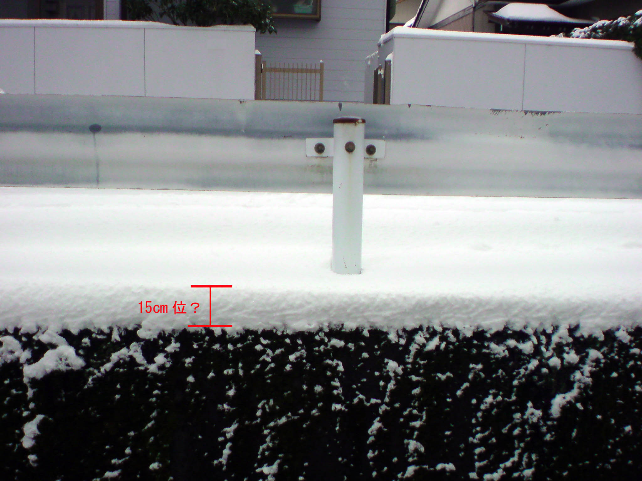e0033459_1593930.jpg