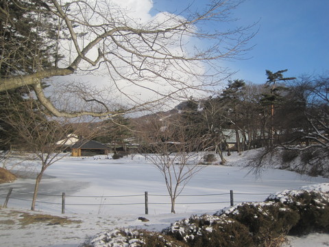f0236260_18203755.jpg