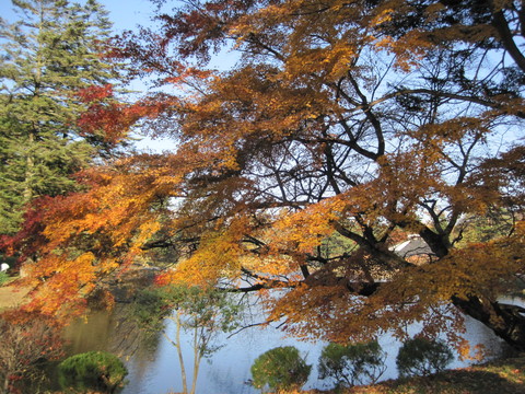 f0236260_18235877.jpg