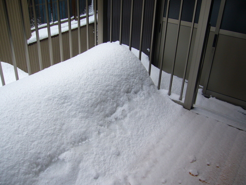 大雪の時のお助けマン 登場!!_c0135361_1211059.jpg