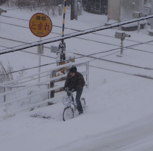 2011年1月17日(月）　雪の彦根_a0063364_23401275.jpg