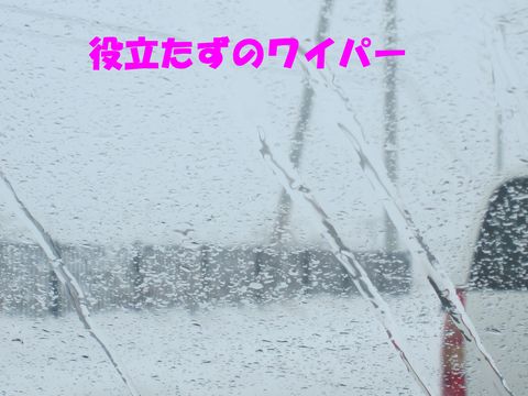 d0179065_1003536.jpg