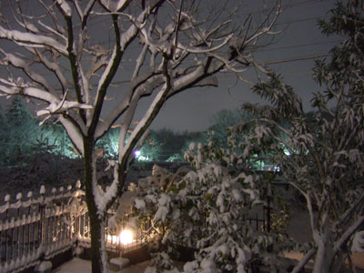 f0185066_03816100.jpg