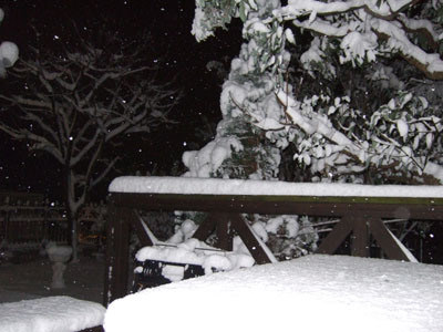 f0185066_0384795.jpg