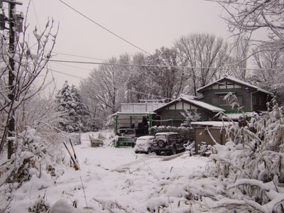 f0185066_921132.jpg