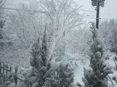 f0185066_921275.jpg