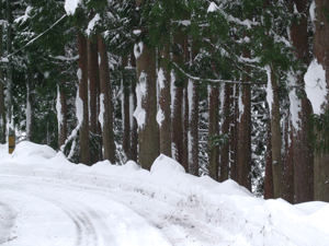 d0094868_2054918.gif