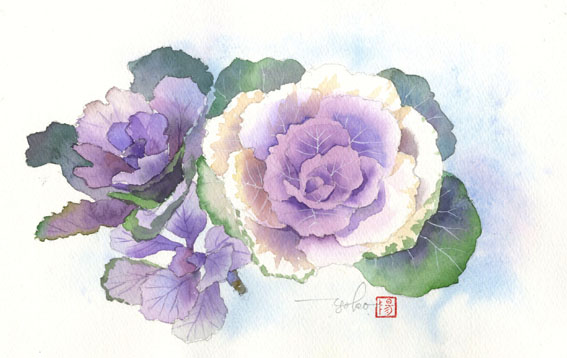 葉牡丹_f0176370_18452858.jpg