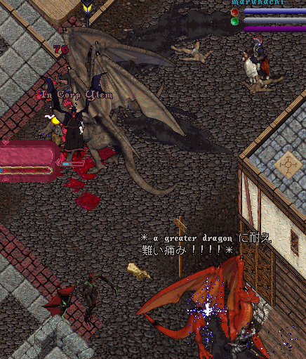 b0190672_21522990.gif