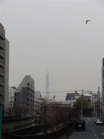 門前仲町から日本橋、てくてく歩いて♪d(´▽`)b♪_b0175688_16303538.jpg