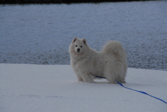 雪三昧♪　part2_a0049296_20181673.jpg
